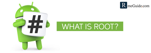 What Is Root